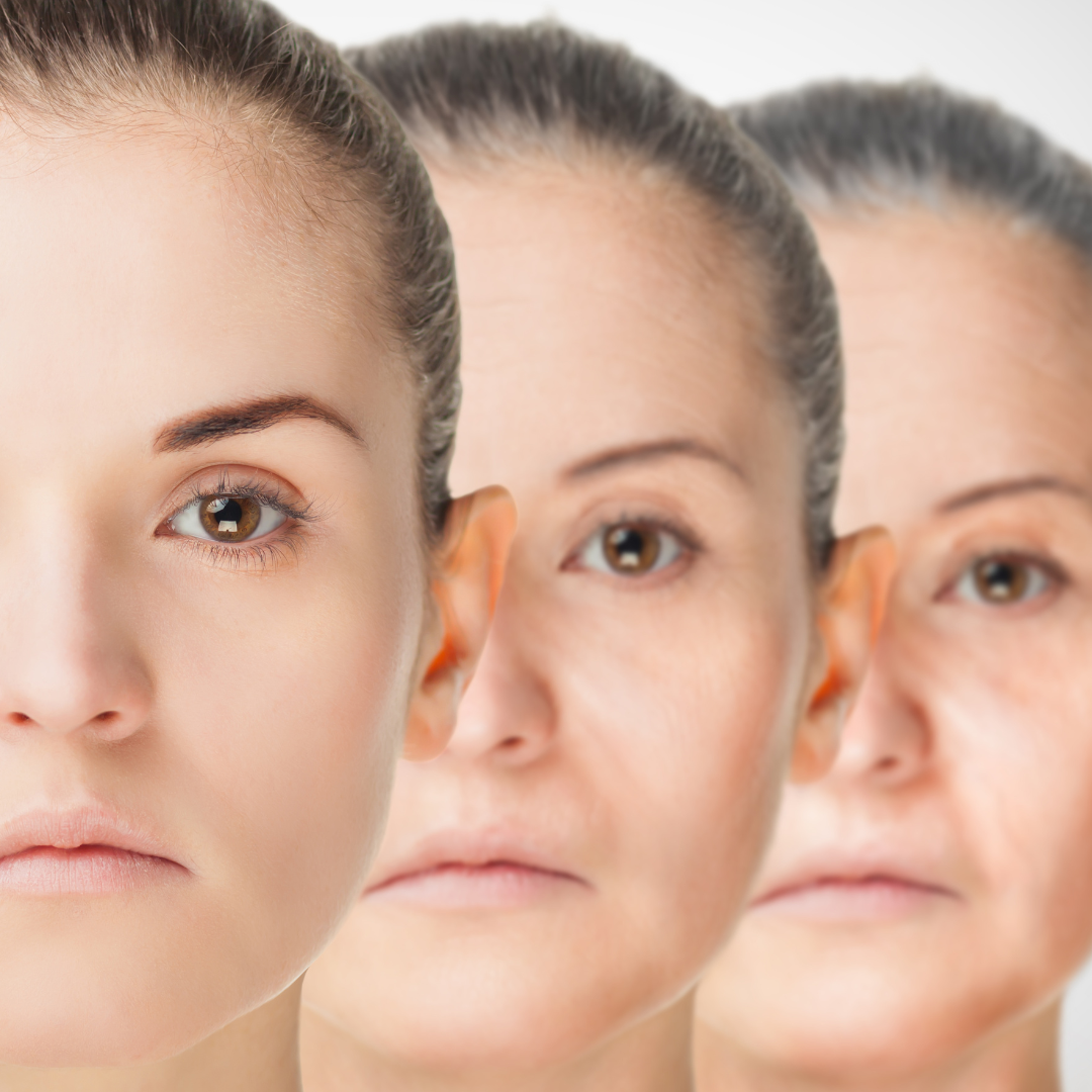 老化のイメージ図(参考)